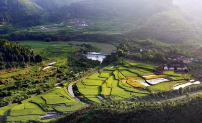 杨栋到河头镇调研环境综合整治和新农村建设等工作