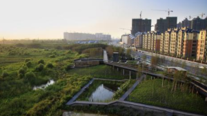 联合国报告关注中国“海绵城市”计划