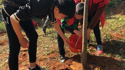 小记者张艺佳作品丨播种希望