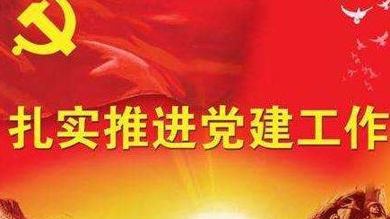 大埔召开党建工作会议暨农村基层党组织规范化管理培训班
