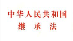 丧偶儿媳能否继承家婆遗产？丰顺法院这样判...
