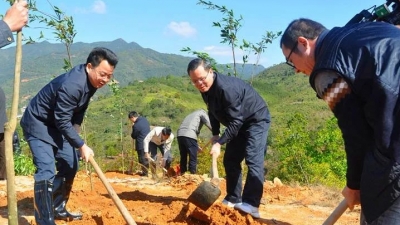 曾永祥、廖茂忠率队参加全民义务植树活动