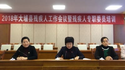 大埔召开2018年残疾人工作会议暨残疾人专职委员培训