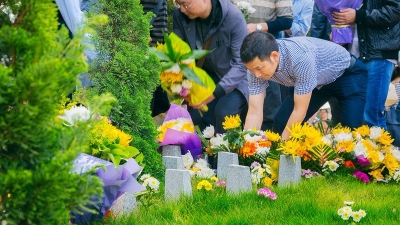 清明将至，我市举行免费树葬活动，让逝者回归大自然