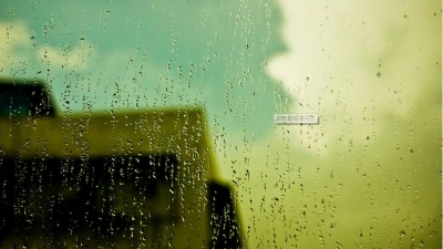 小记者刘诗玲丨听一场雨落