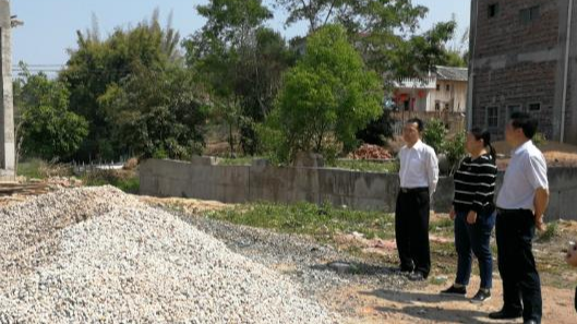 宋学希、李炎香到五华河东镇督促检查年后工作开展情况