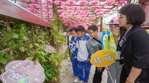 创森在行动！我市百名中小学生宣誓保护野生动植物