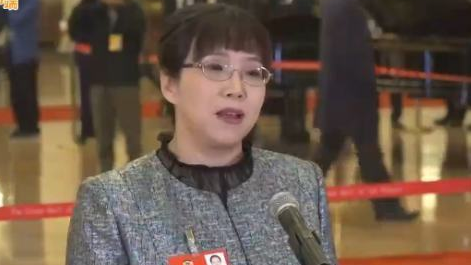 全国政协委员赵红卫：我国动车组有望实现半自动驾驶