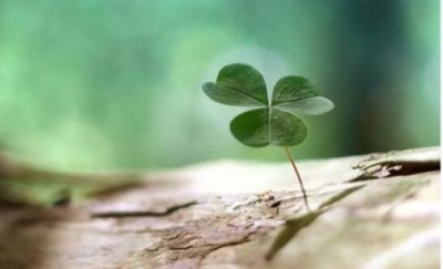 我和妈妈的故事丨坚强的母亲