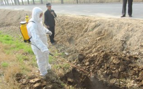 秦英林代表：推行养殖保险与病死畜禽无害化处理联动