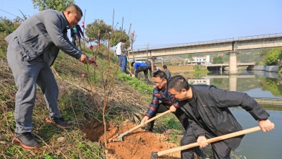市青联开展“绿满梅州”公益植树活动 青年代表为梅州增绿