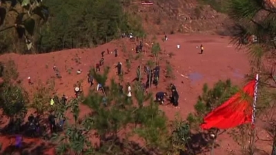 平远干群植树播绿，为初春的山林增添一抹新绿