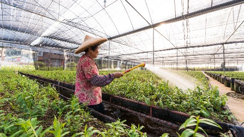 梅县区：党建领航致富路  春风化雨助脱贫