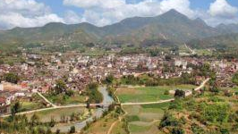 杨栋率队到仁居镇调研重点项目建设情况