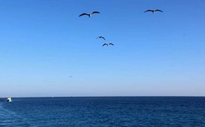 万花筒丨难忘那片蓝