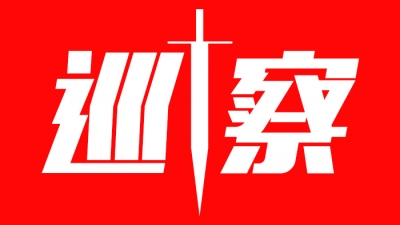 大埔县村级巡察工作全面启动