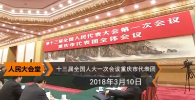 习近平到重庆代表团参加审议