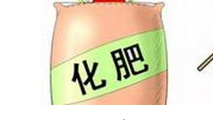农业部：化肥农药减量增效将重点抓好三方面