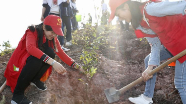 五华干部群众积极开展义务植树活动