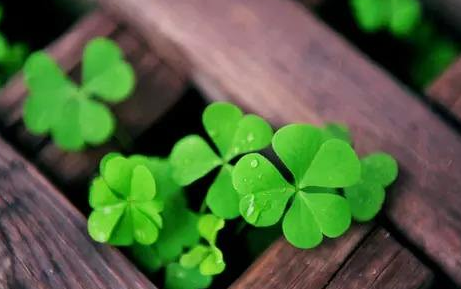 碰笔会丨感悟青春