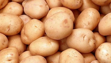 土豆皮变绿后就不能食用？专家释疑