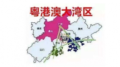 住粤全国政协委员聚焦大湾区：打造国际科创中心