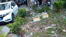 咋回事？丰顺这个小区垃圾遍地无人清理，住户苦不堪言