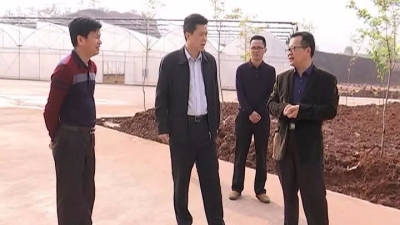 杨栋调研农业工作： 进一步擦亮平远农业金字招牌