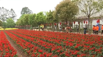 围观 | 平远曼佗山庄：万花争妍游人乐