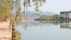 大埔着力改善生态环境：坚守绿水青山筑牢生态安全屏障