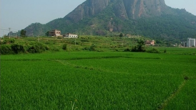 平远县计划投入3.25亿元实施冬春农田水利建设