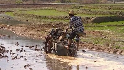平远春耕春种拉开序幕，看看今年乡亲们都在种什么？