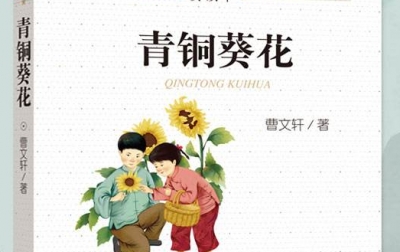 万花筒丨爱的故事——读《青铜葵花》后有感