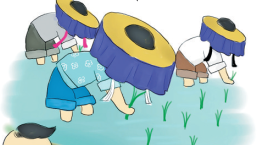 漫话客家丨客家草帽