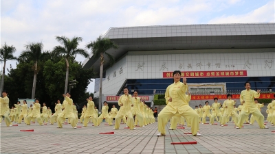 河南代表建言：太极拳恐被其他国家“抢注”  要赶快申遗