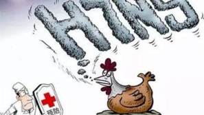 农业部：今年将强化家禽H7N9流感免疫防治
