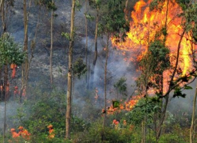 突发丨五华安流大九村发生山火，离村民房屋较近