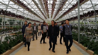 梅州市商业促进会到江西赣州开展商务考察