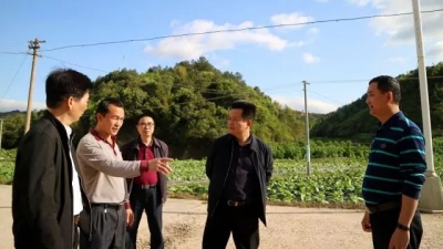 朱汉东调研茶阳镇恋墩村新农村示范村建设工作