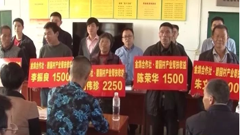 兴宁龙田碧园村产业扶贫见成效  46户贫困户分得12万红利