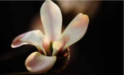 青春笛丨静阅人生