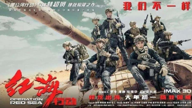 《红海行动》票房破33.94亿，成为中国电影票房总榜亚军
