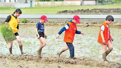 梅州日报小记者春耕插秧感受田间之乐