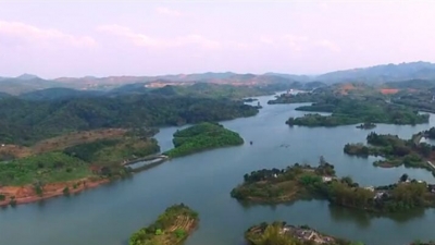 梅县区梅西商会完成换届 黎仕杰当选会长