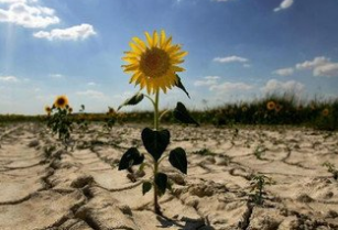 土地退化威胁全球32亿人生计，未来30年数亿人或被迫迁徙