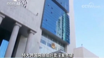 特大跨国网络卖淫案告破：科技公司当幌子 349人涉案