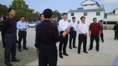 朱汉东调研特色小（城）镇和美丽乡村建设工作