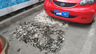 鸡鸭毛随处晒，摊贩越线摆摊，新洲路存多处卫生死角