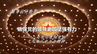 确保党的领导更加坚强有力——二论学习贯彻党的十九届三中全会精神