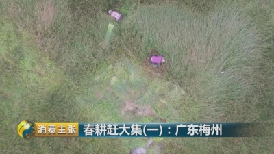 丰顺留隍特色小食、独特手工草席等上央视啦！